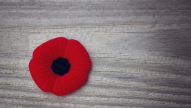 Remembrance Day poppy